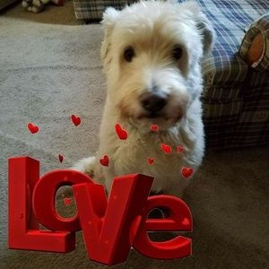 Meet your Posher, Roberta